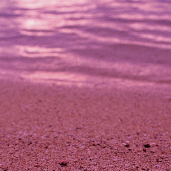 Meet your Posher, Tasha - Picture 1 of 1